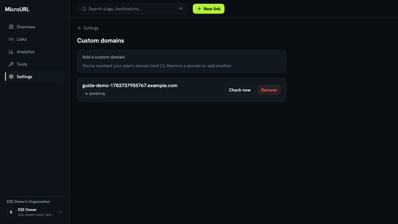 A pending domain showing the exact CNAME record to add at the DNS provider